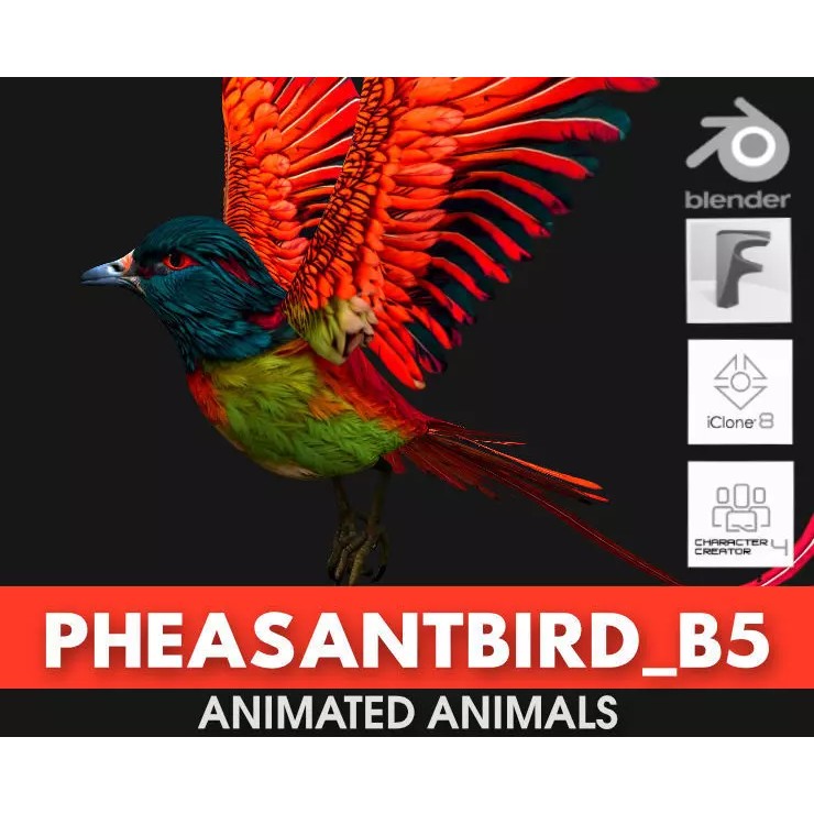 Pheasant Bird 3D Model – Rigged Animated Asset with PBR Textures - View 2