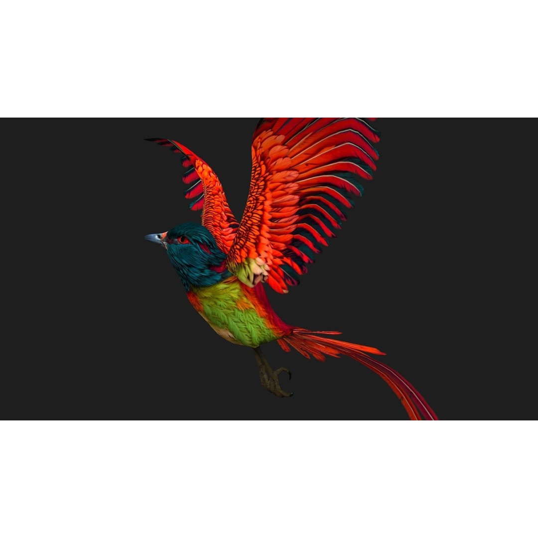 Pheasant Bird 3D Model – Rigged Animated Asset with PBR Textures - View 4