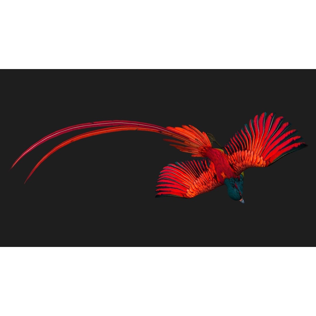 Pheasant Bird 3D Model – Rigged Animated Asset with PBR Textures - View 6