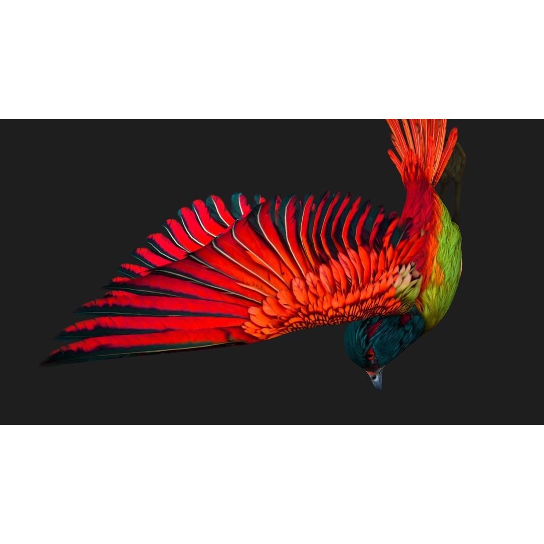 Pheasant Bird 3D Model – Rigged Animated Asset with PBR Textures - View 7