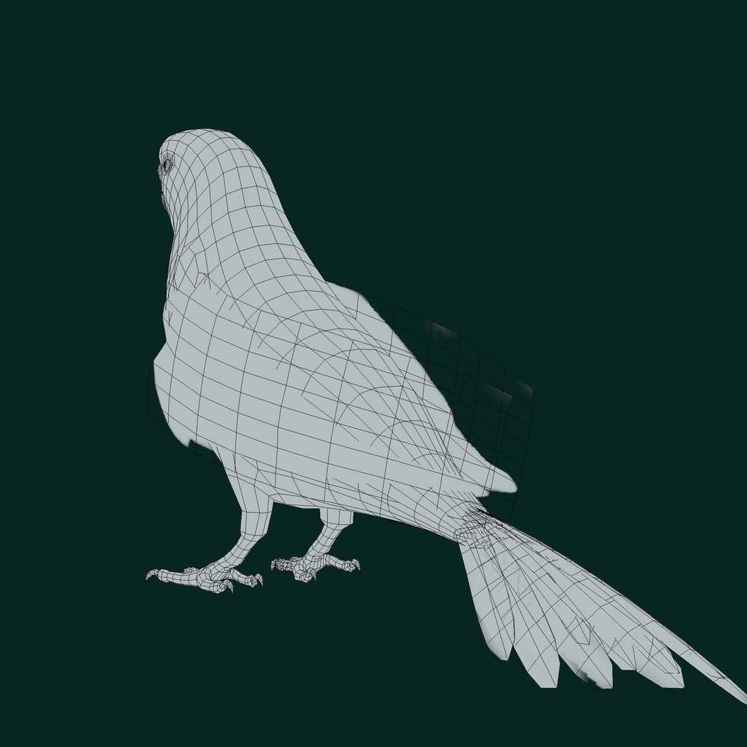 Budgerigar 3D Model – Low Poly Game Asset, FBX, PBR Textures - View 12
