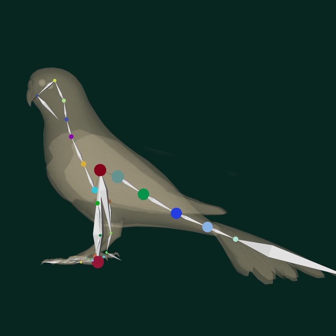Budgerigar 3D Model – Low Poly Game Asset, FBX, PBR Textures - View 13