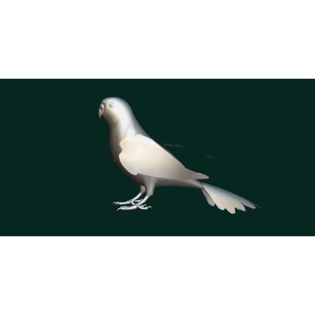 Budgerigar 3D Model – Low Poly Game Asset, FBX, PBR Textures - View 20