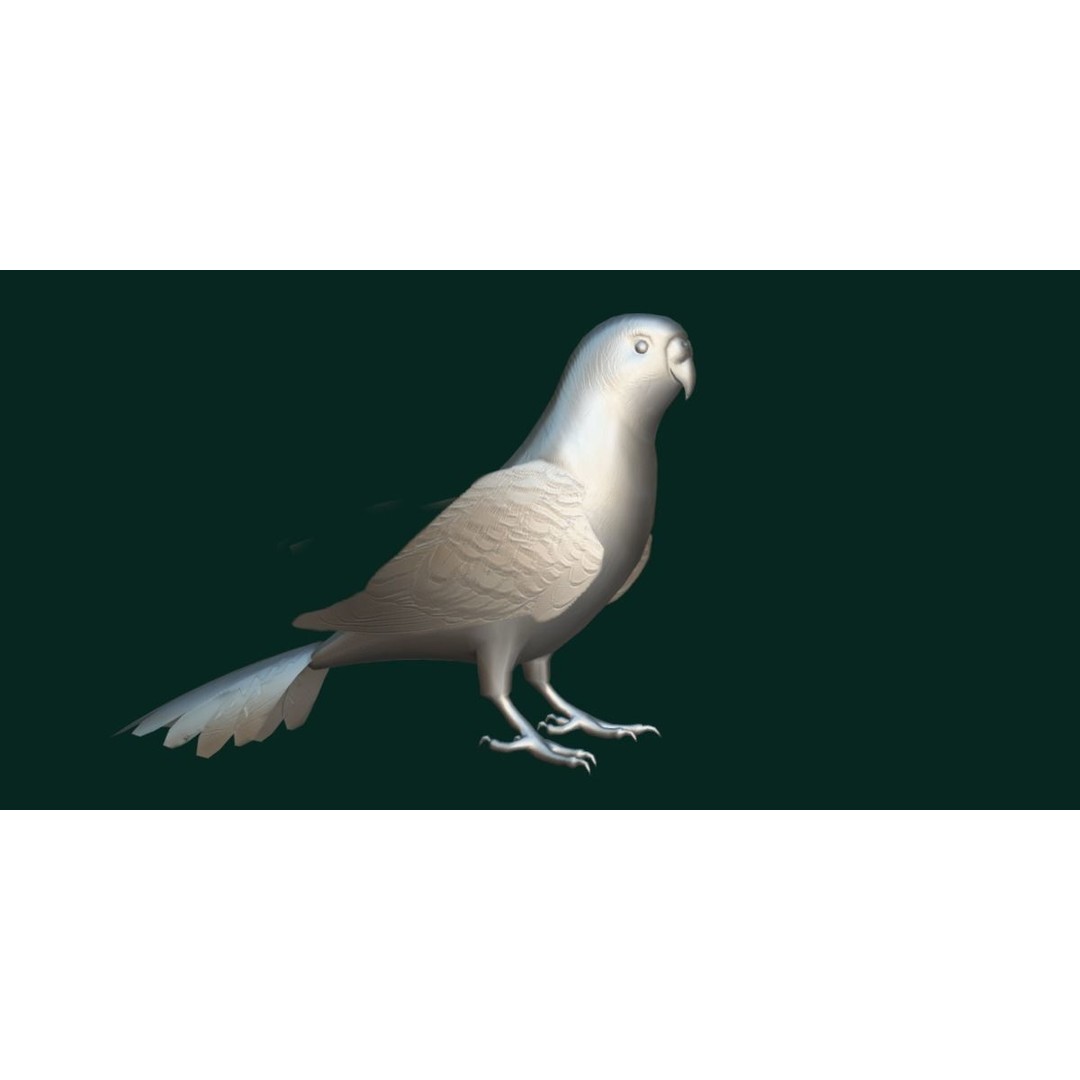 Budgerigar 3D Model – Low Poly Game Asset, FBX, PBR Textures - View 21