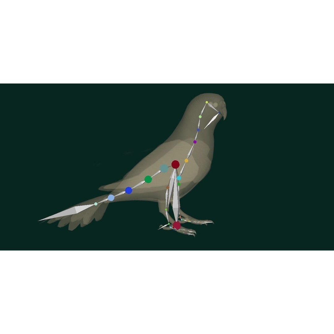 Budgerigar 3D Model – Low Poly Game Asset, FBX, PBR Textures - View 3