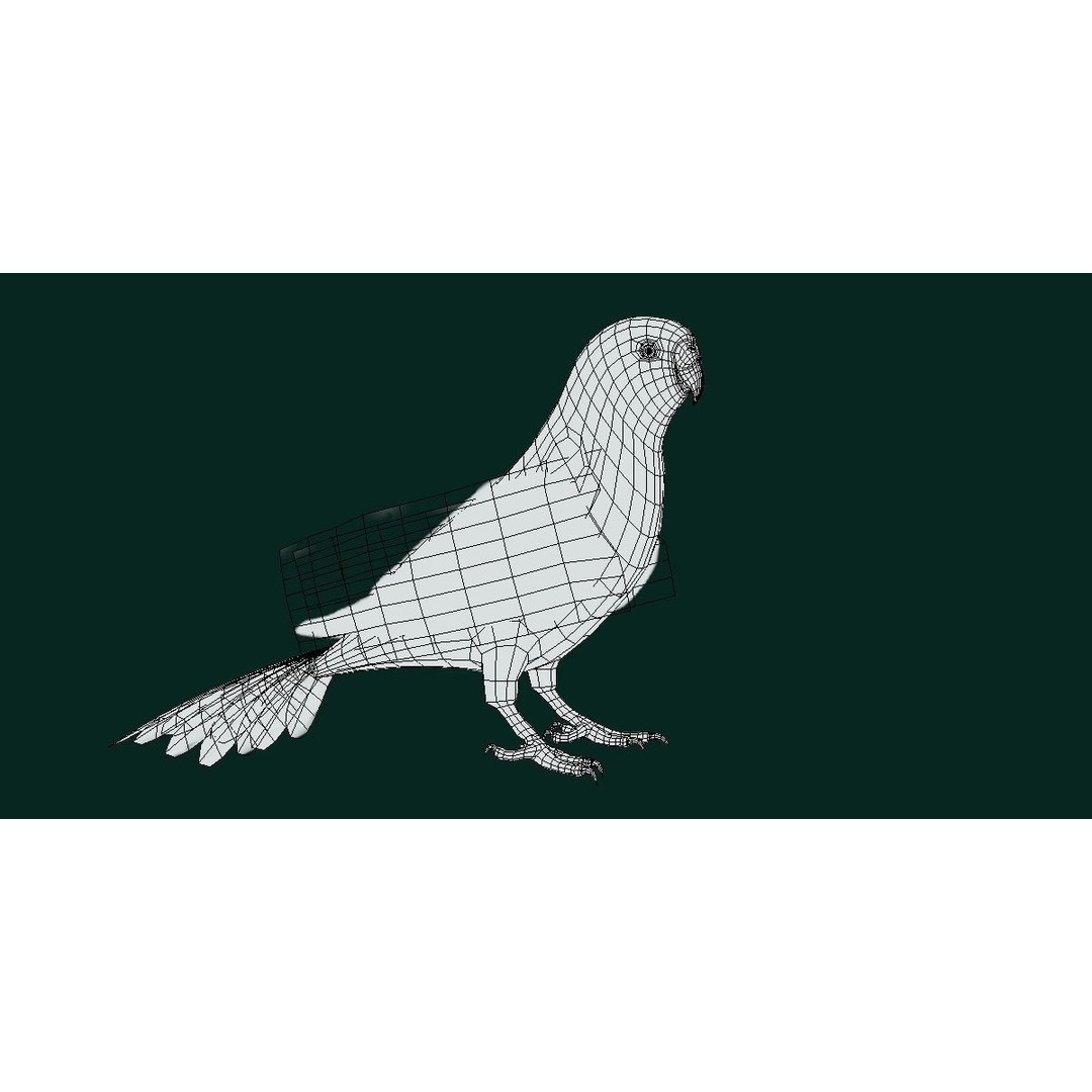 Budgerigar 3D Model – Low Poly Game Asset, FBX, PBR Textures - View 4