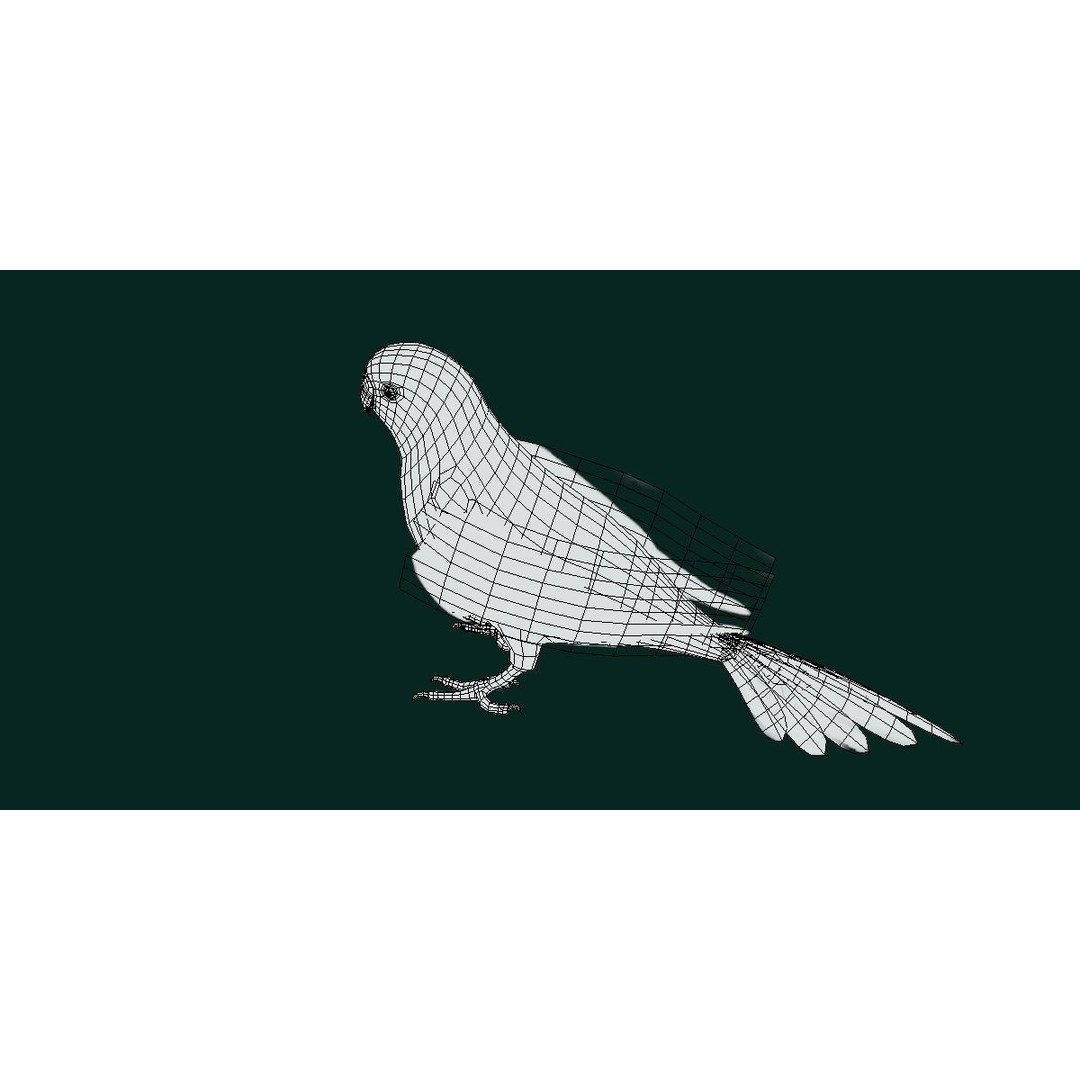 Budgerigar 3D Model – Low Poly Game Asset, FBX, PBR Textures - View 5