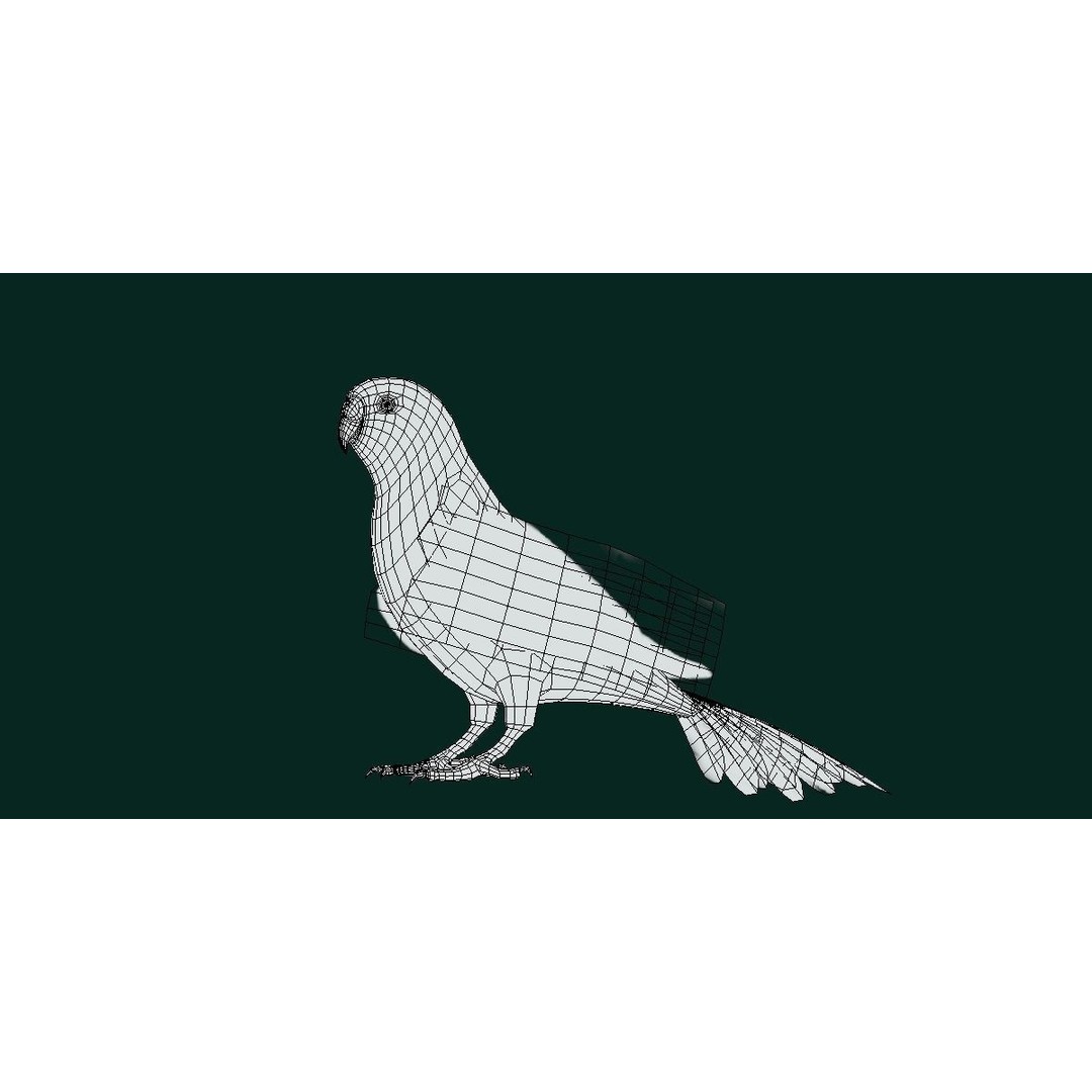 Budgerigar 3D Model – Low Poly Game Asset, FBX, PBR Textures - View 6