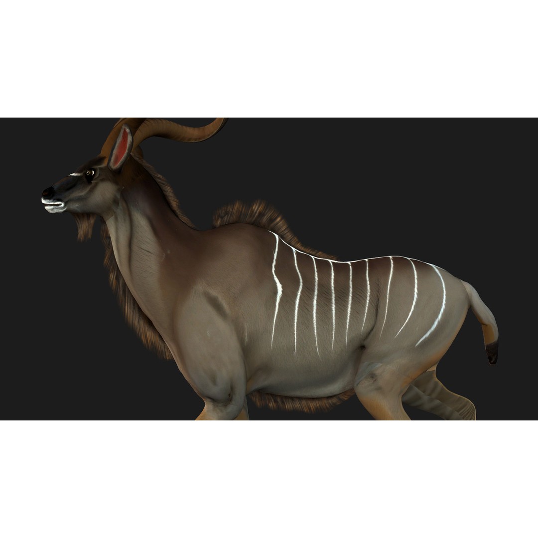 Animals World 3D Model – Rigged PBR Characters for Animation, FBX