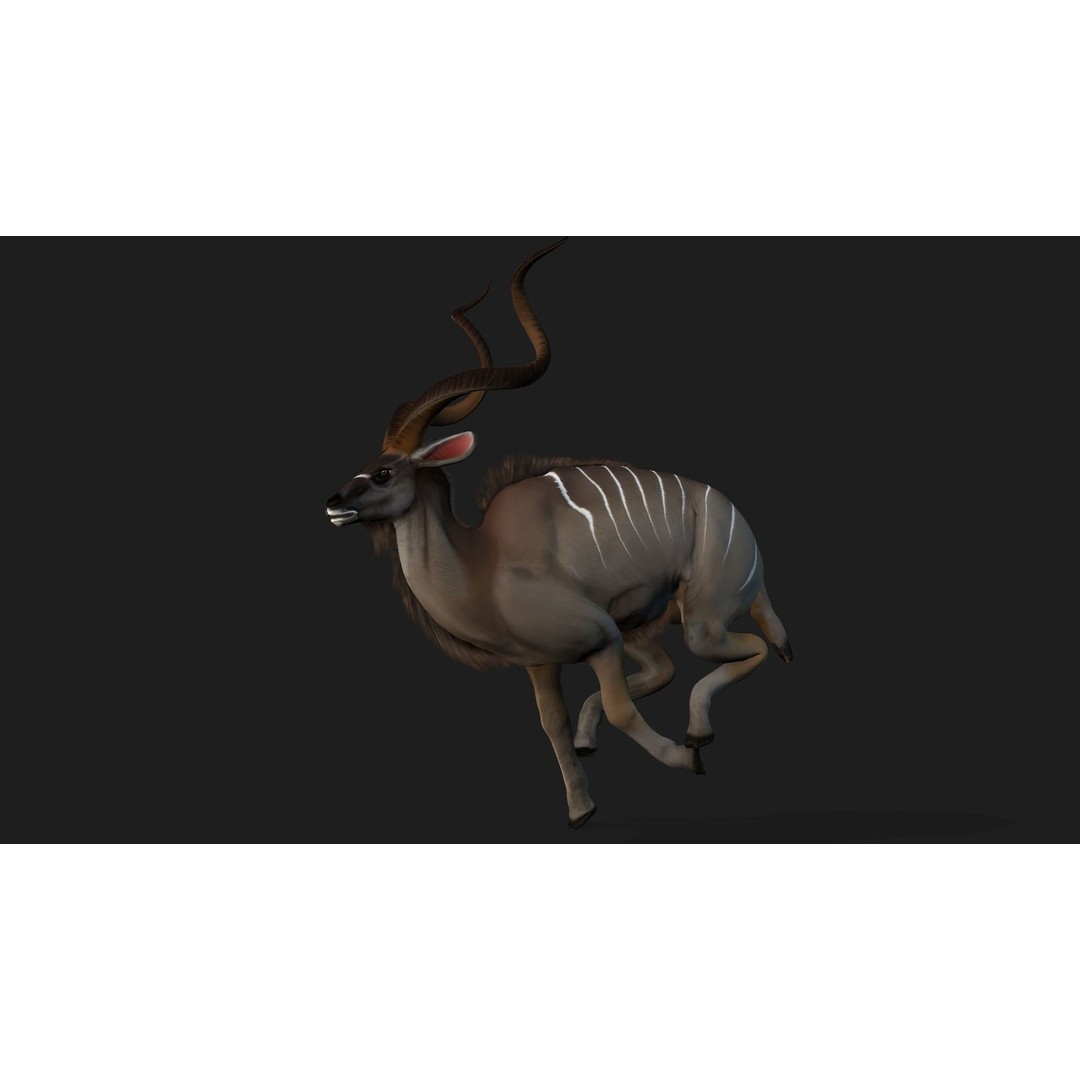 Animals World 3D Model – Rigged PBR Characters for Animation, FBX - View 100