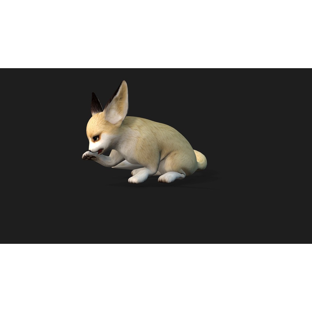 Animals World 3D Model – Rigged PBR Characters for Animation, FBX - View 14