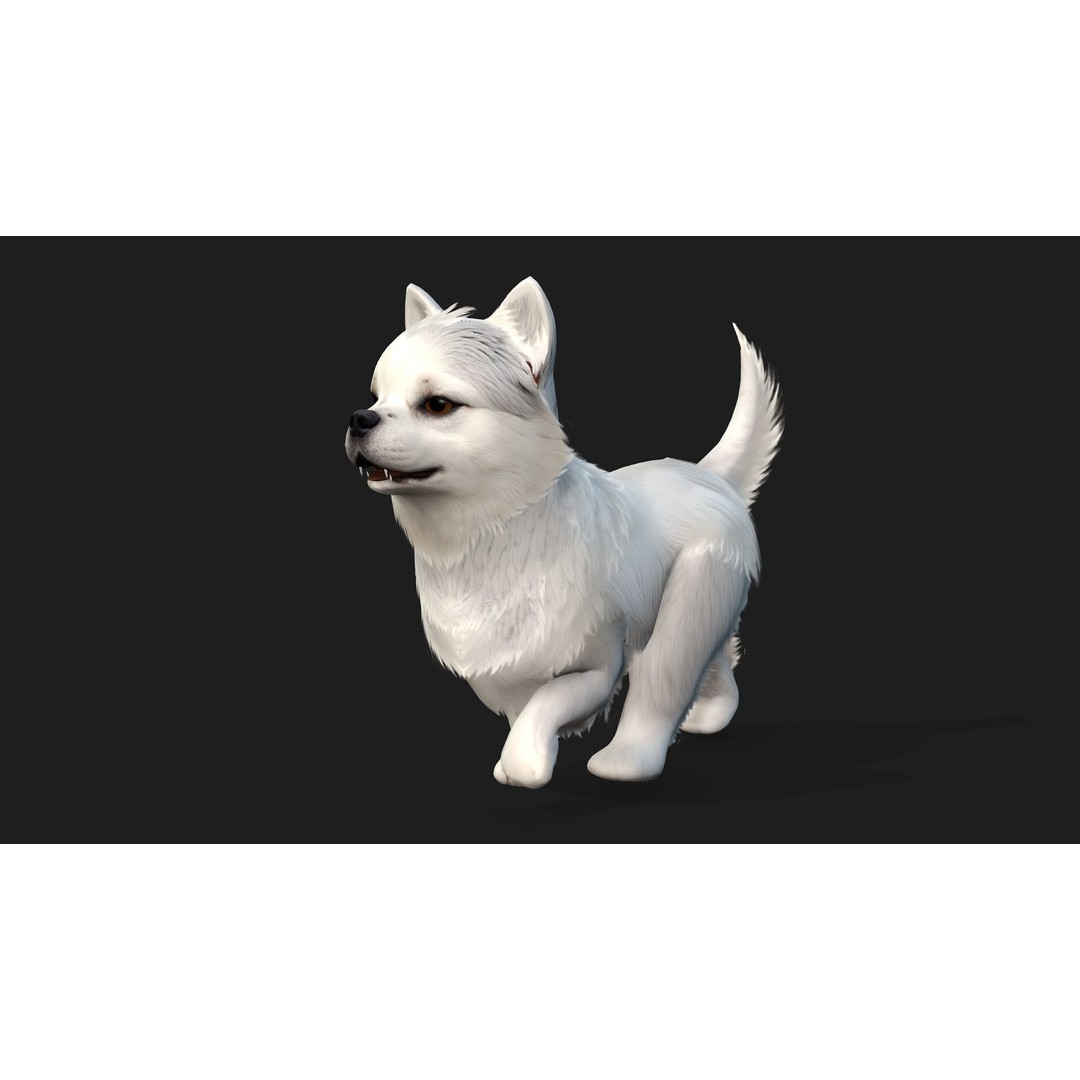 Animals World 3D Model – Rigged PBR Characters for Animation, FBX - View 18