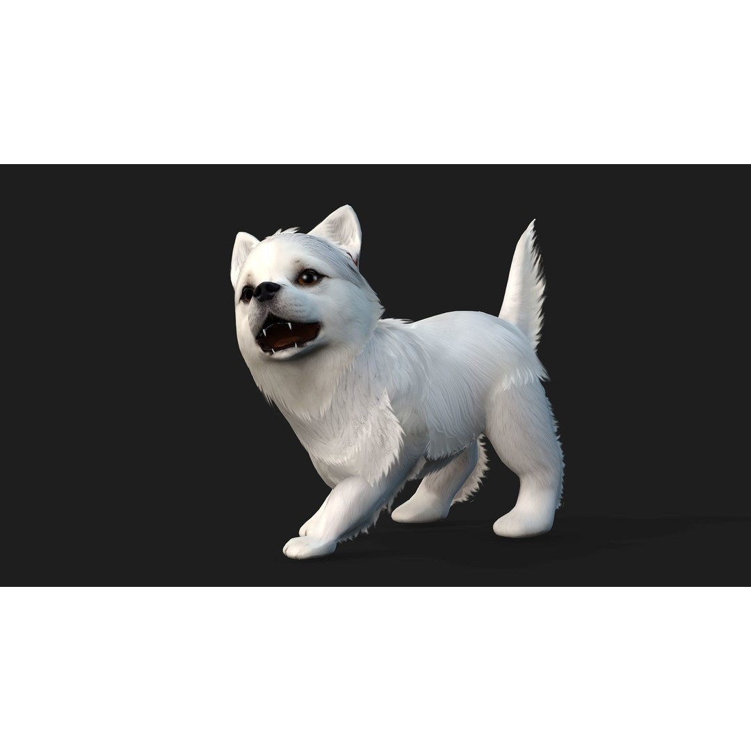 Animals World 3D Model – Rigged PBR Characters for Animation, FBX - View 19