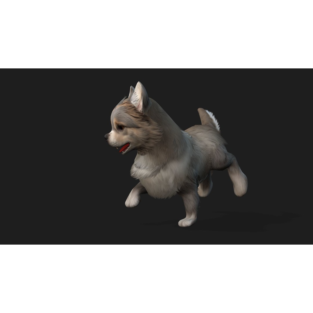 Animals World 3D Model – Rigged PBR Characters for Animation, FBX - View 24
