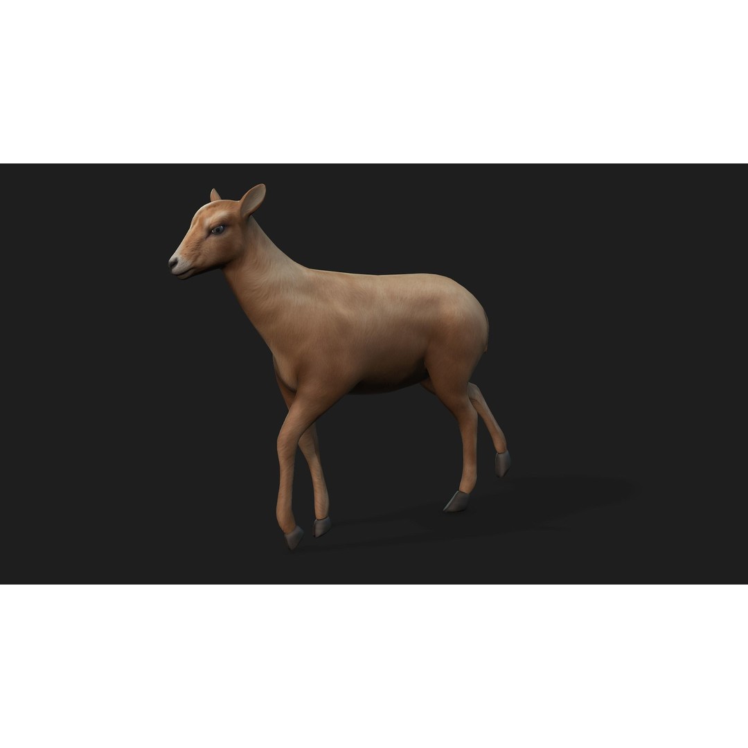 Animals World 3D Model – Rigged PBR Characters for Animation, FBX - View 3