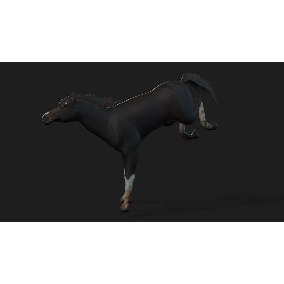 Animals World 3D Model – Rigged PBR Characters for Animation, FBX - View 30