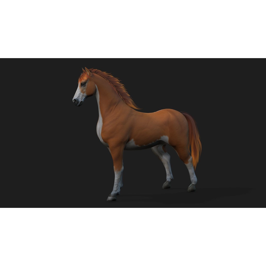 Animals World 3D Model – Rigged PBR Characters for Animation, FBX - View 33