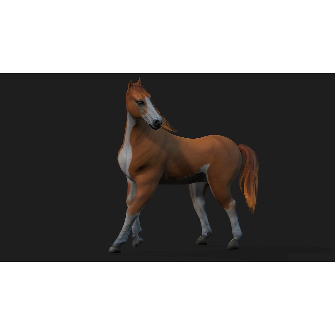 Animals World 3D Model – Rigged PBR Characters for Animation, FBX - View 34