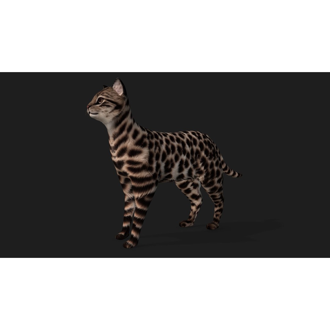 Animals World 3D Model – Rigged PBR Characters for Animation, FBX - View 38
