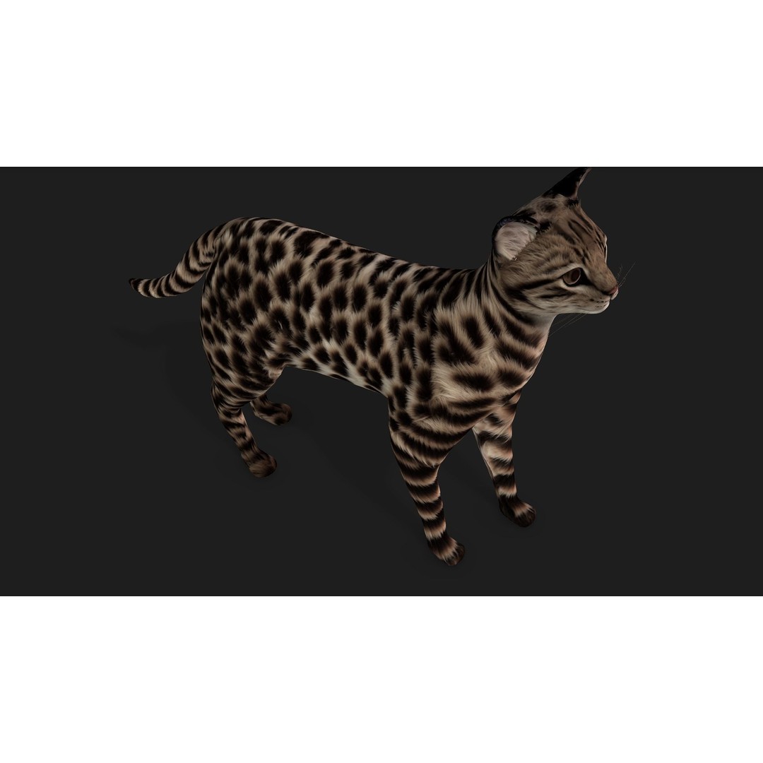 Animals World 3D Model – Rigged PBR Characters for Animation, FBX - View 39