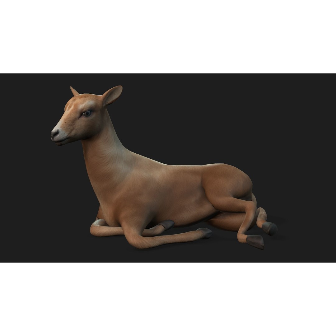 Animals World 3D Model – Rigged PBR Characters for Animation, FBX - View 4
