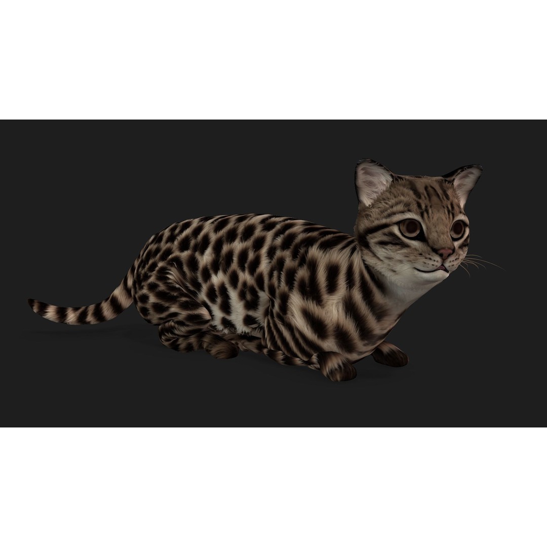 Animals World 3D Model – Rigged PBR Characters for Animation, FBX - View 40