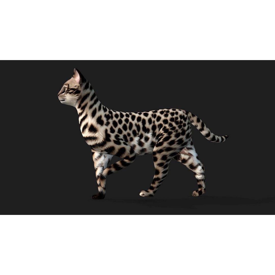 Animals World 3D Model – Rigged PBR Characters for Animation, FBX - View 43