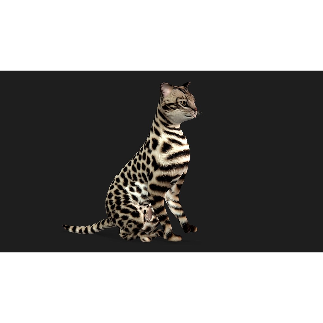 Animals World 3D Model – Rigged PBR Characters for Animation, FBX - View 45