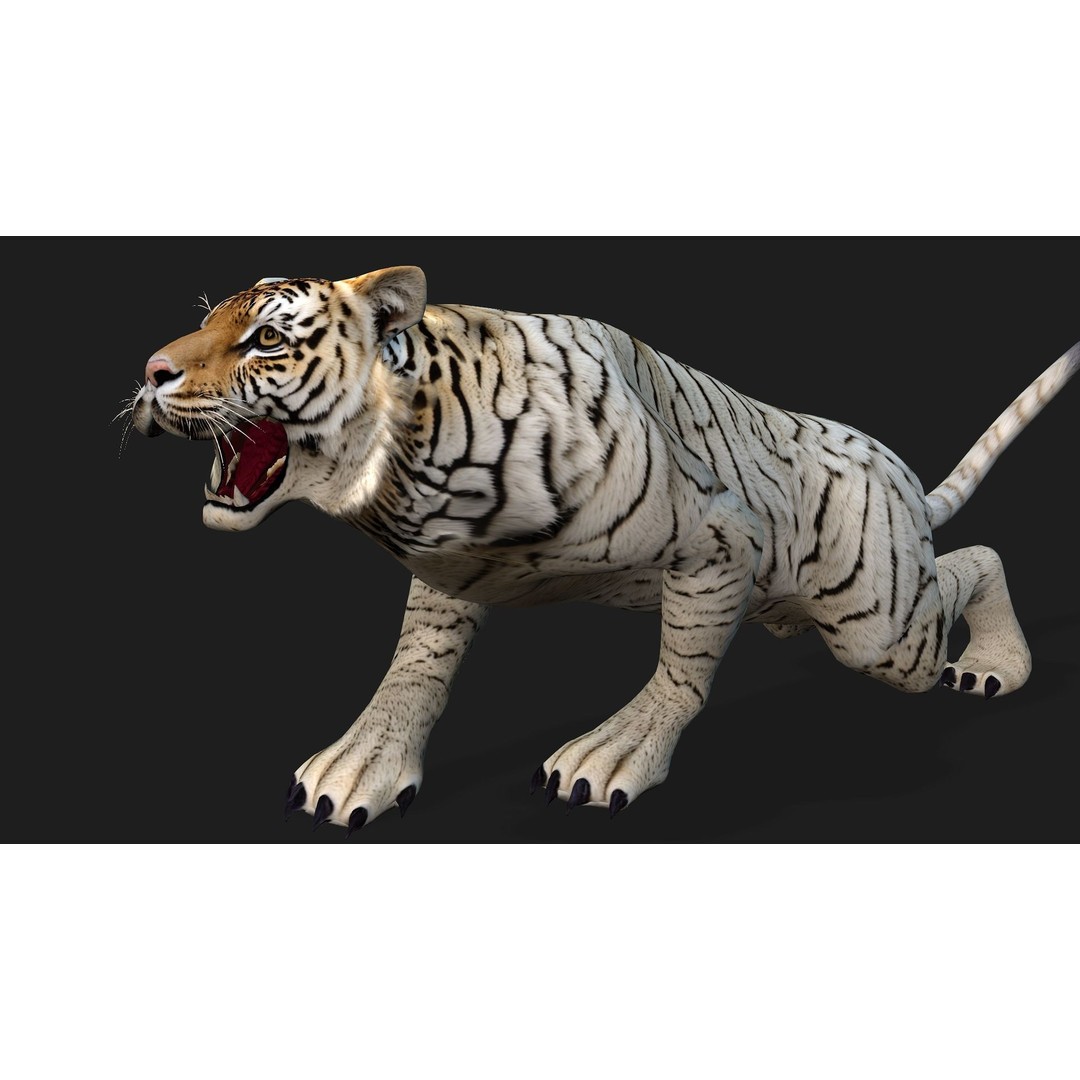 Animals World 3D Model – Rigged PBR Characters for Animation, FBX - View 48
