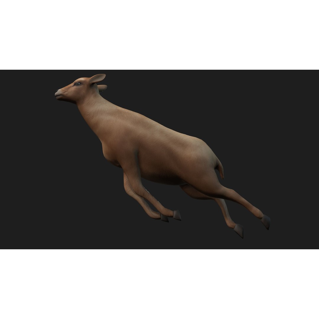 Animals World 3D Model – Rigged PBR Characters for Animation, FBX - View 5