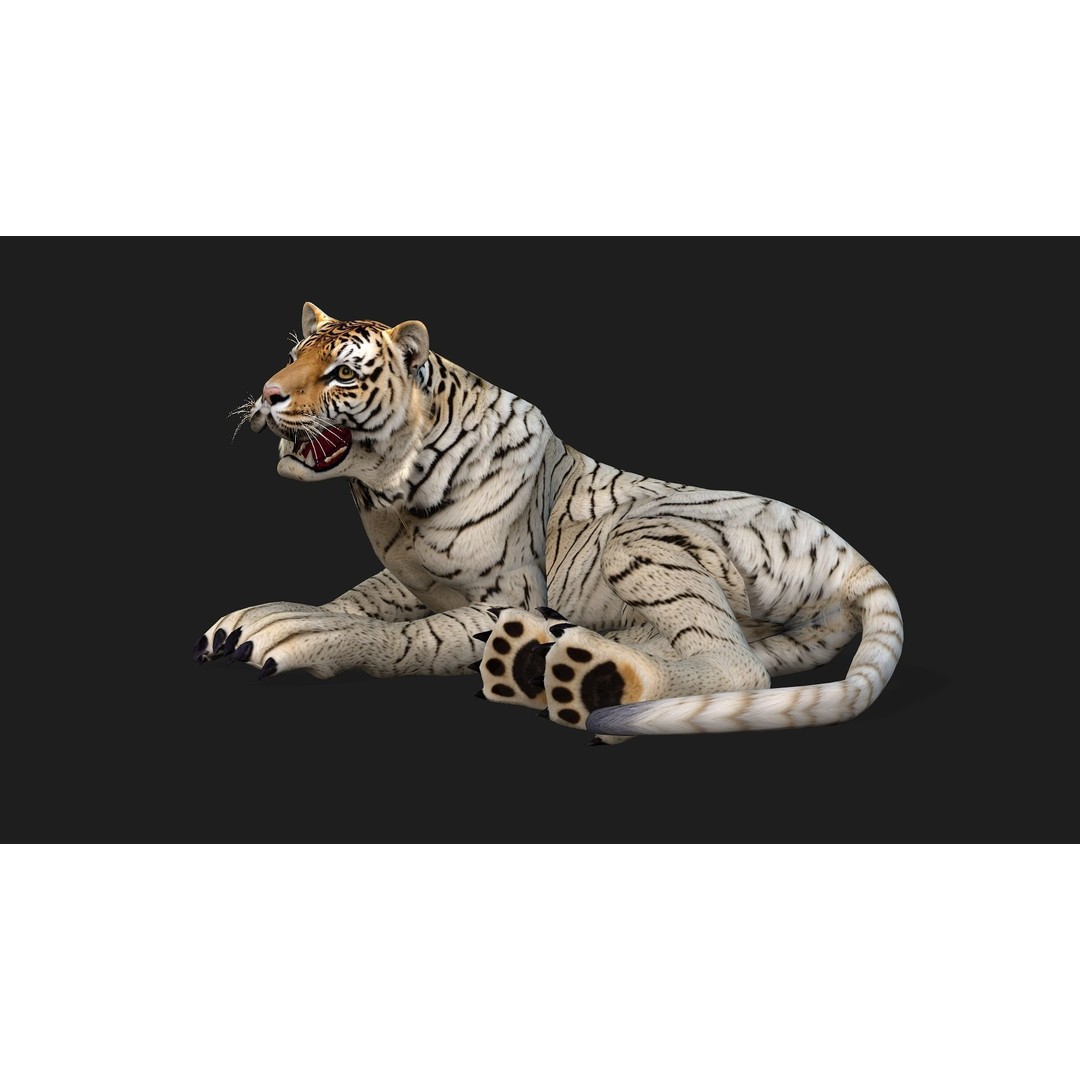 Animals World 3D Model – Rigged PBR Characters for Animation, FBX - View 52