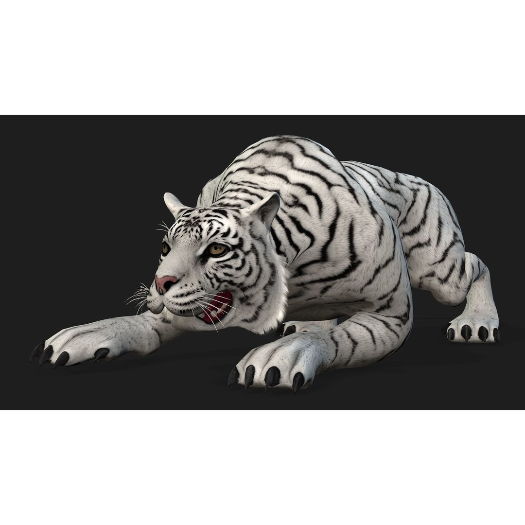 Animals World 3D Model – Rigged PBR Characters for Animation, FBX - View 57