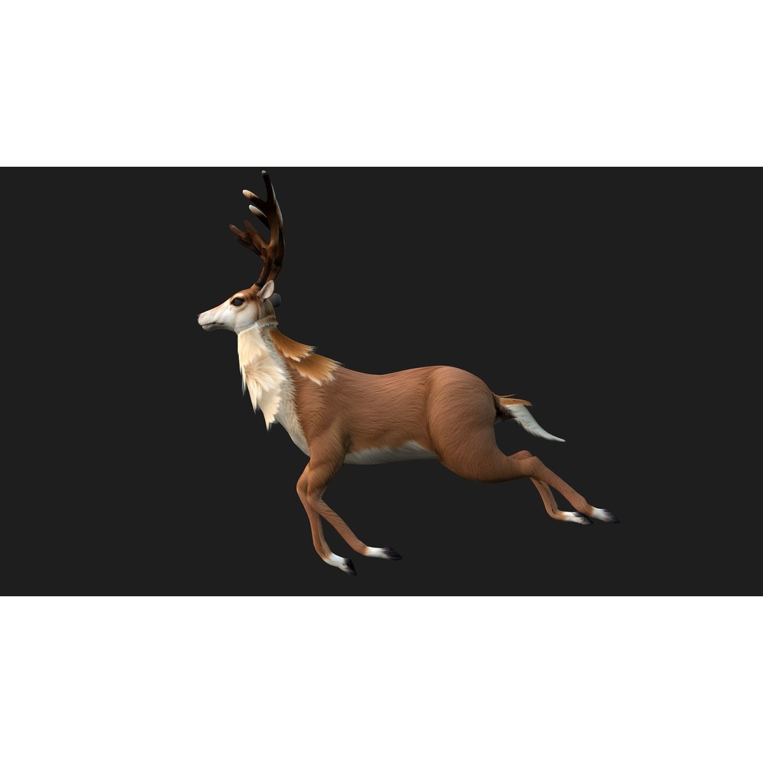Animals World 3D Model – Rigged PBR Characters for Animation, FBX - View 58
