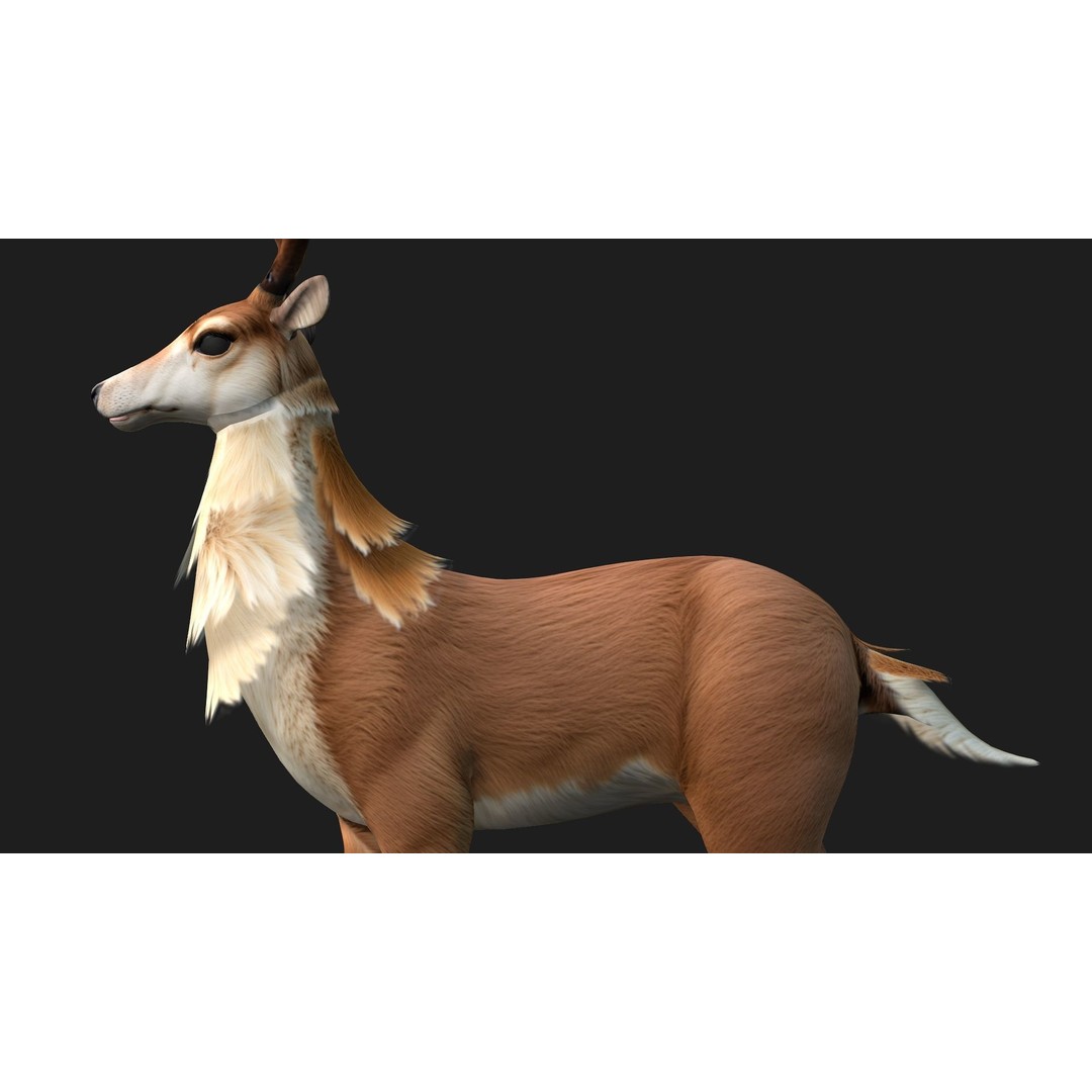 Animals World 3D Model – Rigged PBR Characters for Animation, FBX - View 60