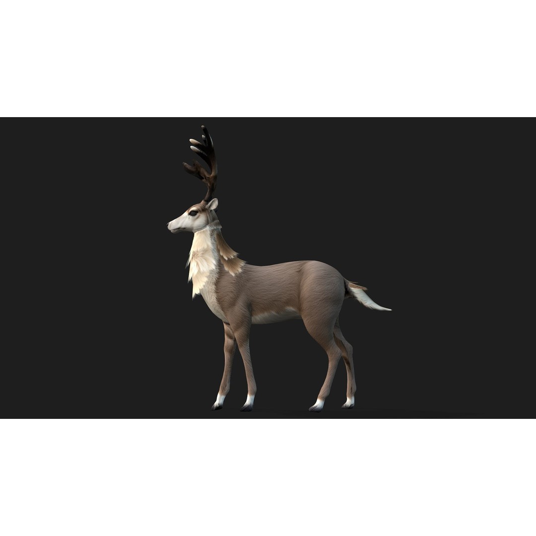Animals World 3D Model – Rigged PBR Characters for Animation, FBX - View 63