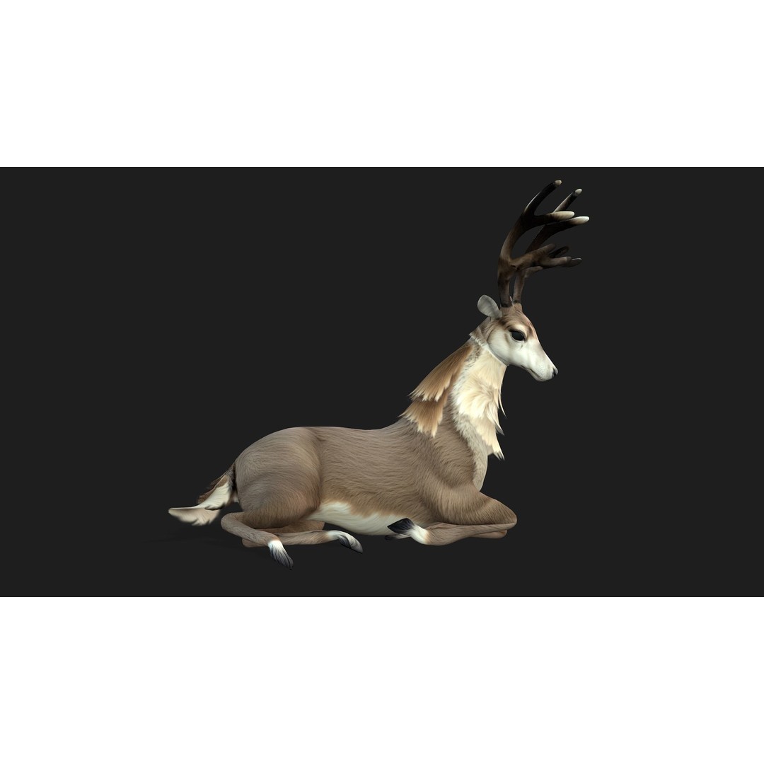 Animals World 3D Model – Rigged PBR Characters for Animation, FBX - View 64
