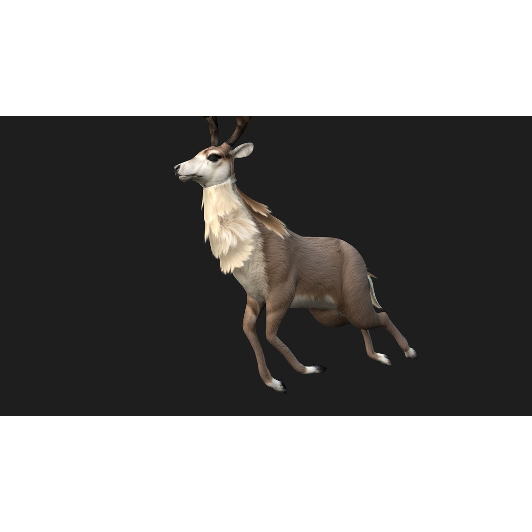 Animals World 3D Model – Rigged PBR Characters for Animation, FBX - View 67