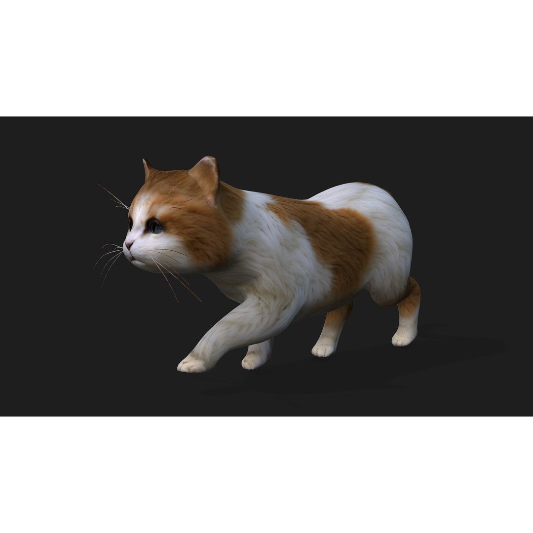 Animals World 3D Model – Rigged PBR Characters for Animation, FBX - View 68