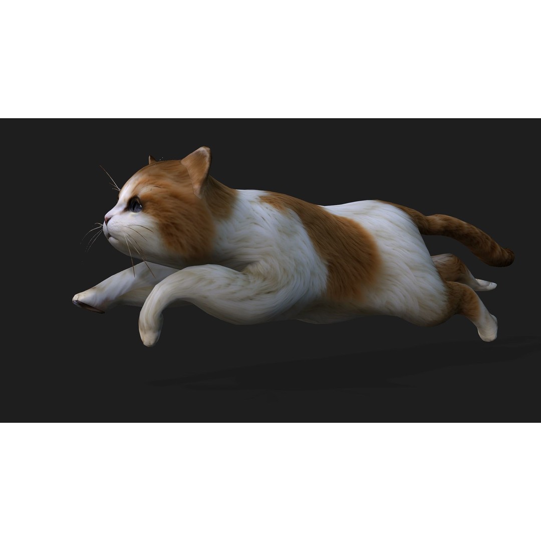 Animals World 3D Model – Rigged PBR Characters for Animation, FBX - View 72