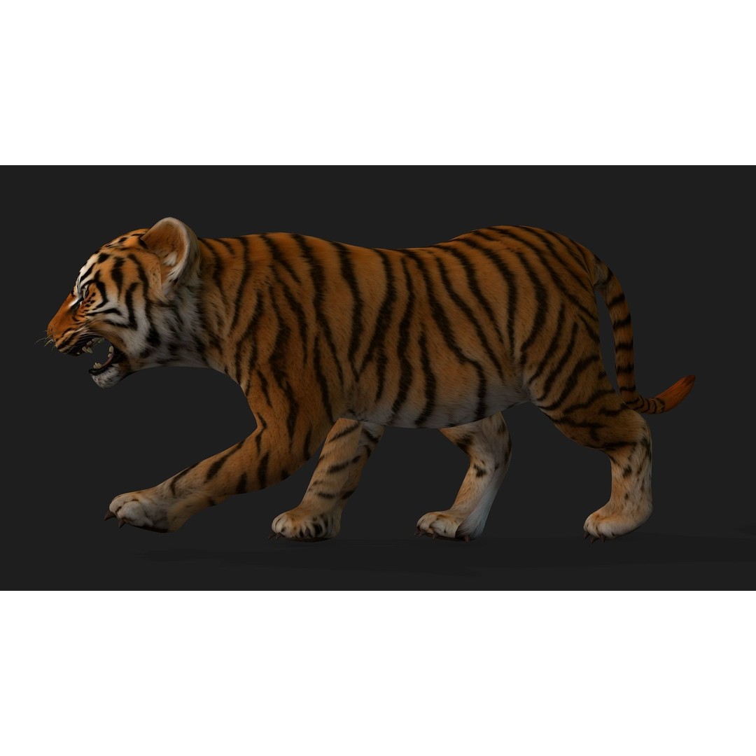 Animals World 3D Model – Rigged PBR Characters for Animation, FBX - View 78