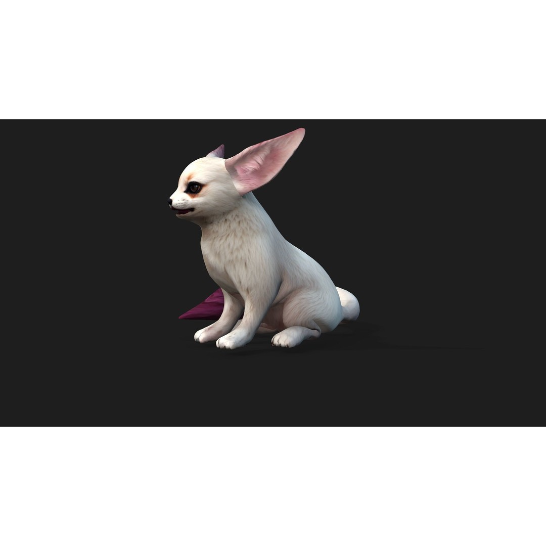 Animals World 3D Model – Rigged PBR Characters for Animation, FBX - View 8