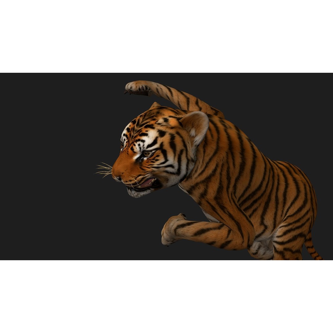 Animals World 3D Model – Rigged PBR Characters for Animation, FBX - View 82