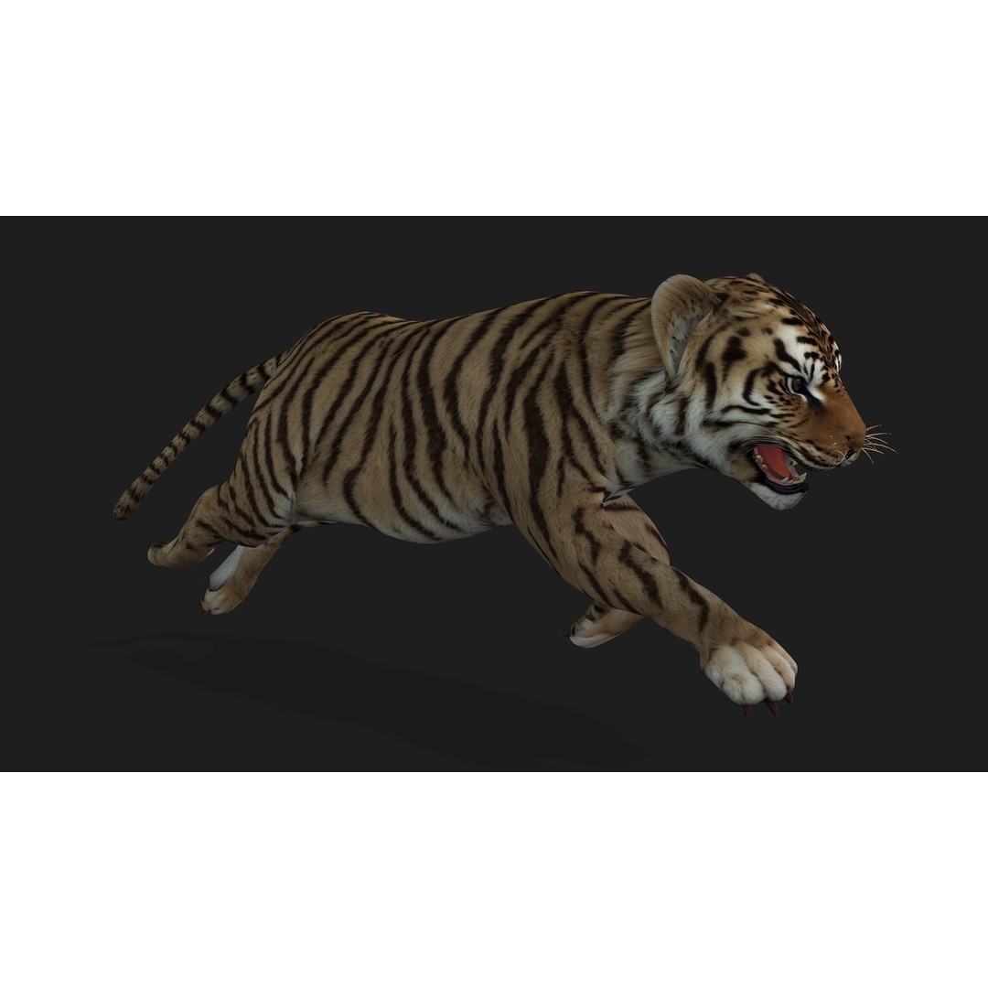 Animals World 3D Model – Rigged PBR Characters for Animation, FBX - View 84
