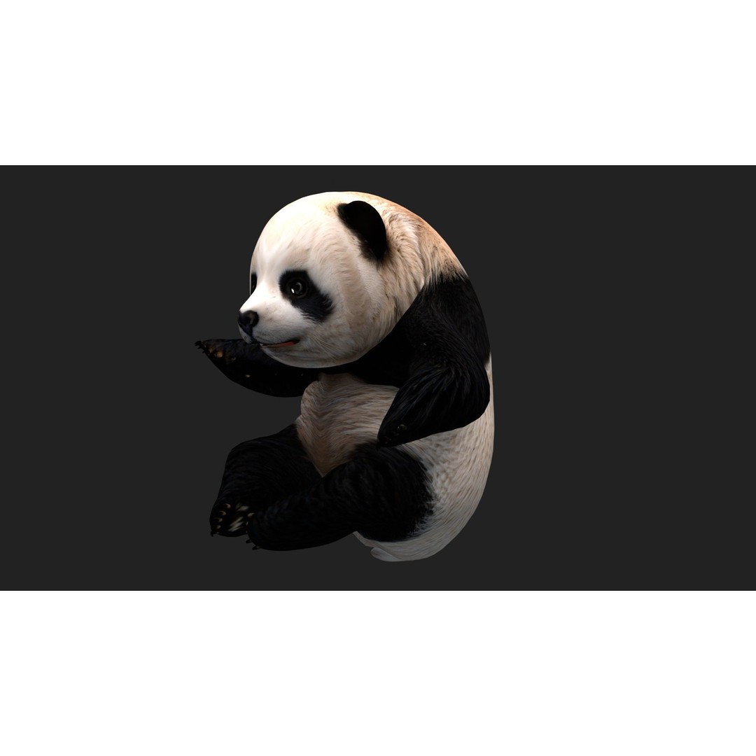 Animals World 3D Model – Rigged PBR Characters for Animation, FBX - View 88
