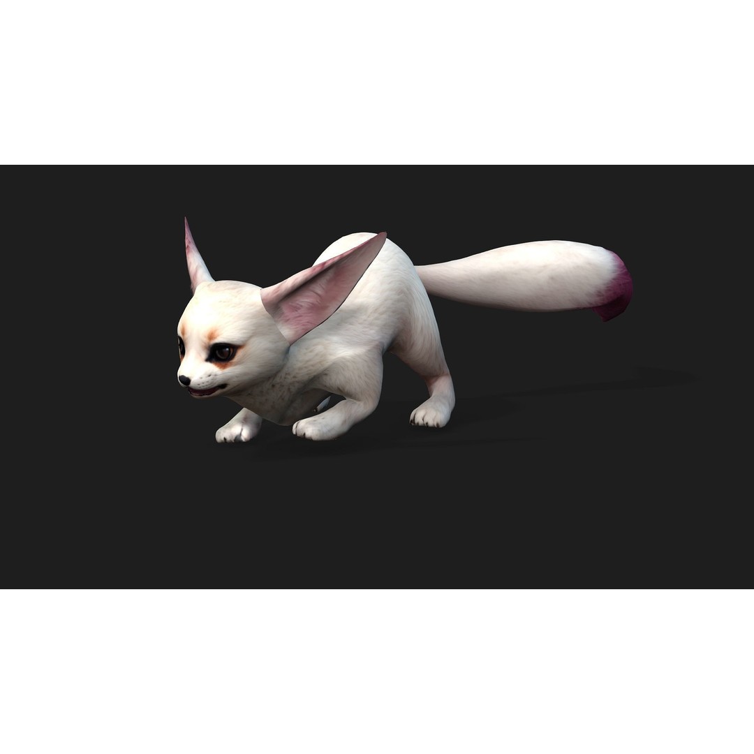 Animals World 3D Model – Rigged PBR Characters for Animation, FBX - View 9