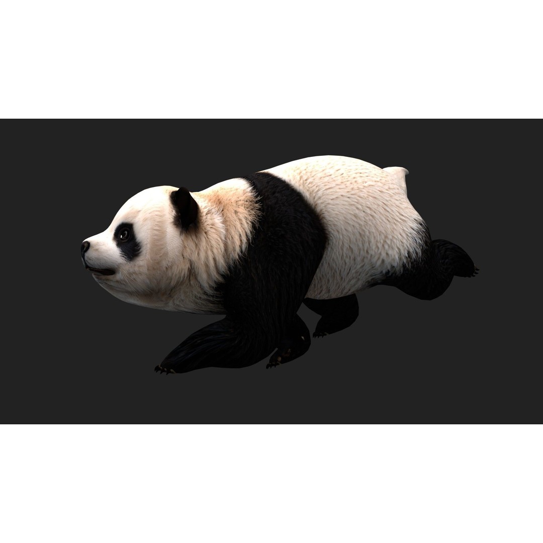 Animals World 3D Model – Rigged PBR Characters for Animation, FBX - View 90