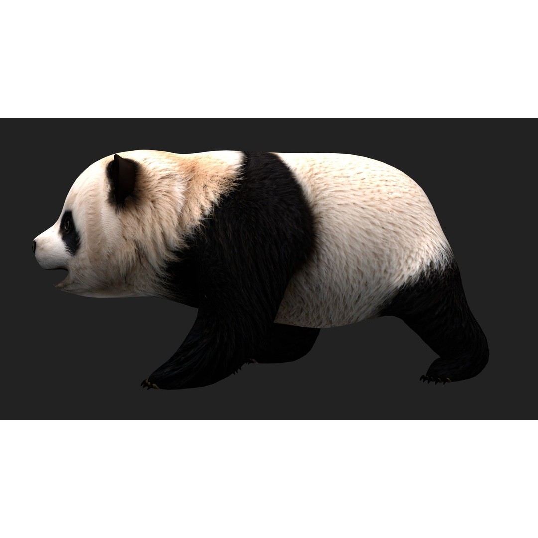 Animals World 3D Model – Rigged PBR Characters for Animation, FBX - View 91