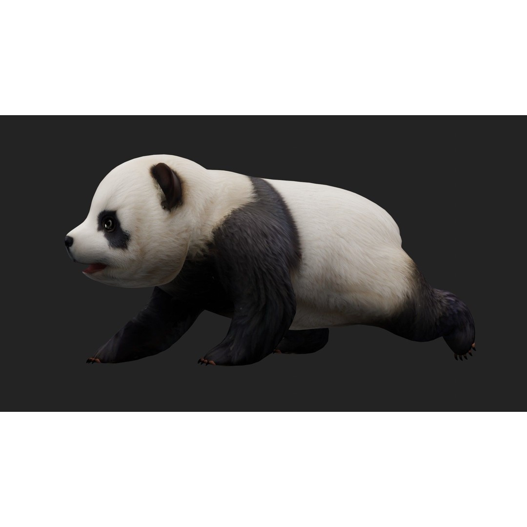 Animals World 3D Model – Rigged PBR Characters for Animation, FBX - View 93