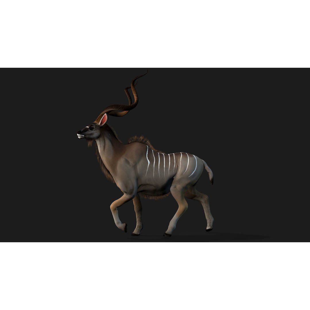 Animals World 3D Model – Rigged PBR Characters for Animation, FBX - View 98