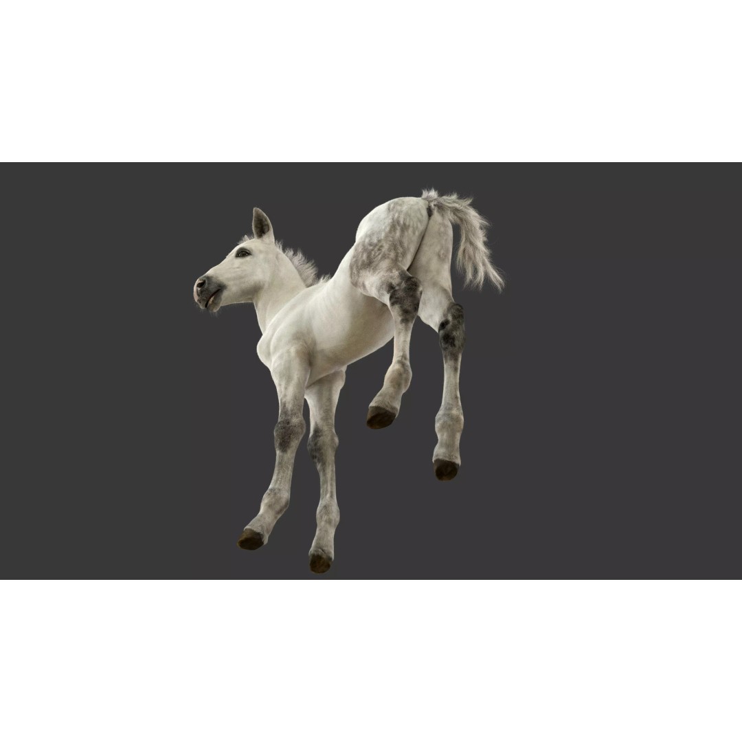 Realistic Horse Foal 3D Model – High Poly PBR Asset, FBX & OBJ - View 10